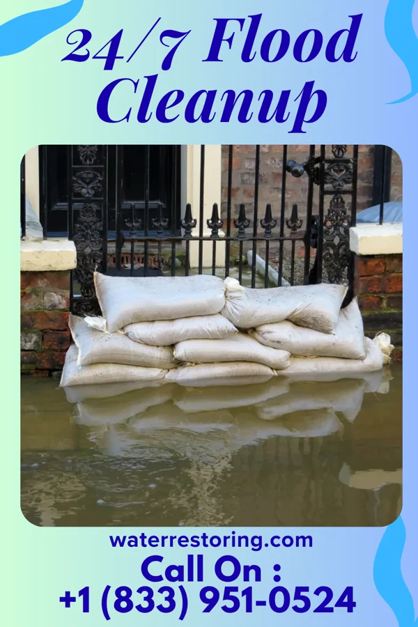 24/7 Flood Cleanup in Lakeview, NE