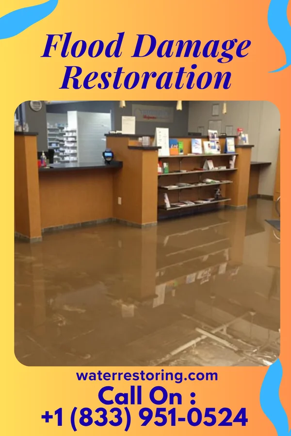 Flood Damage Restoration in Lakeview, NE