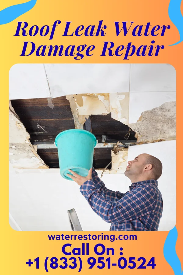 Roof Leak Water Damage Repair in Lakeview, NE
